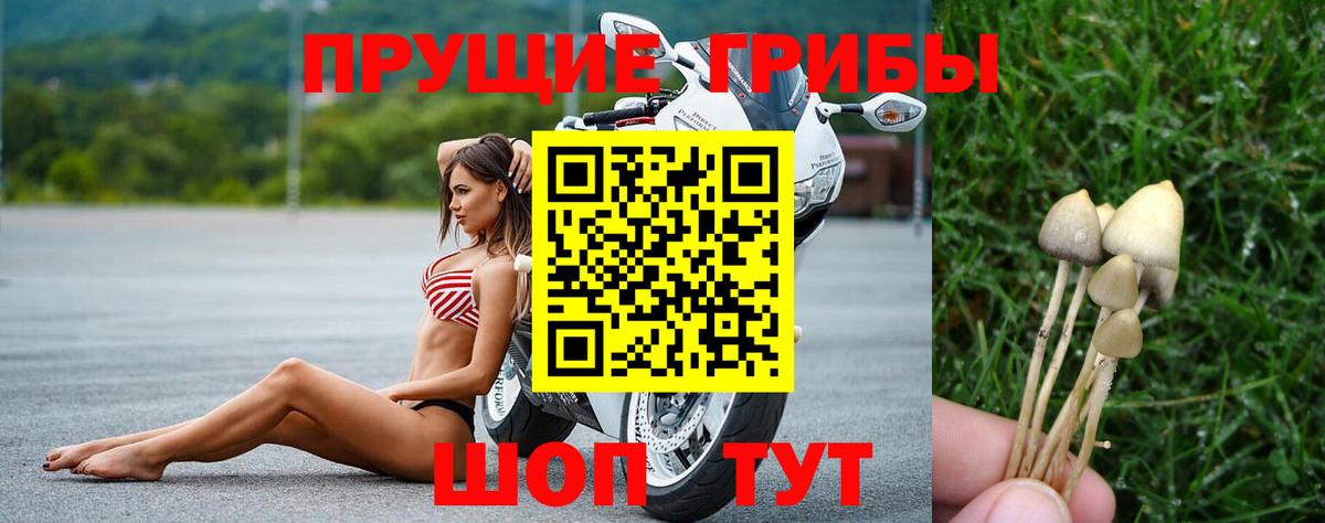 Галлюциногенные грибы Psilocybe  Вход с VPN  Жигулёвск 